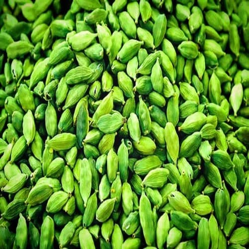 Fresh Cardamom Harvest